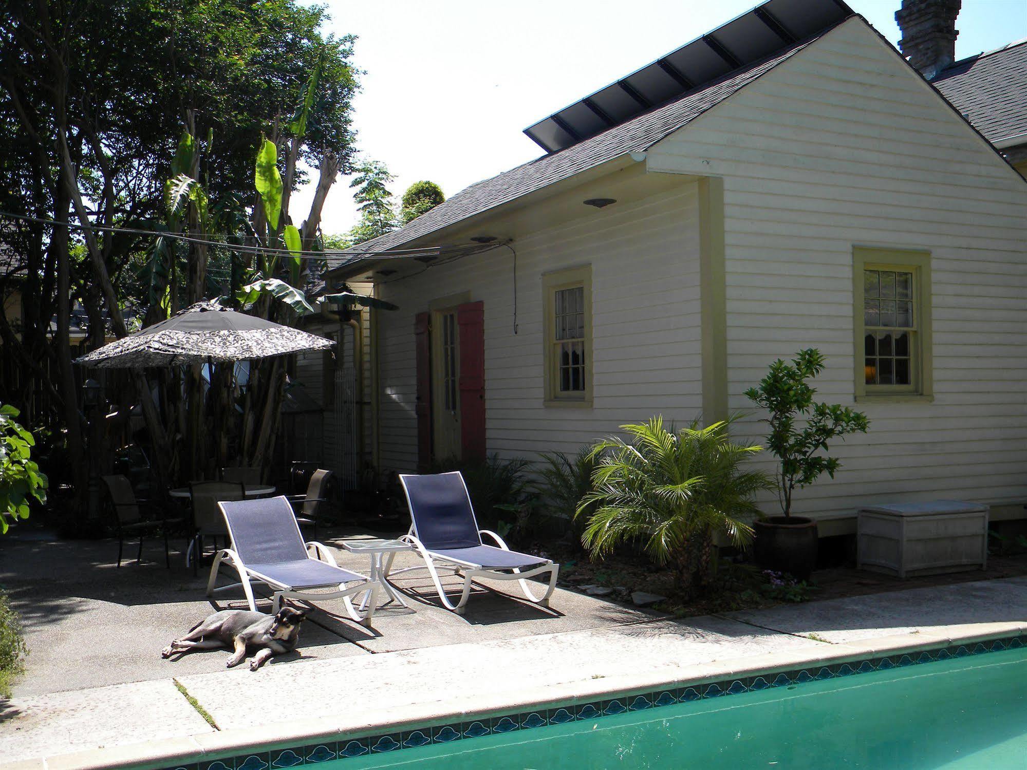 Maison De Macarty Bed and Breakfast New Orleans Esterno foto